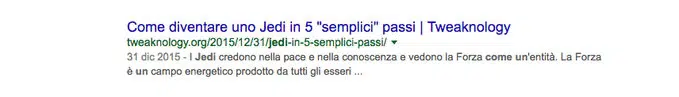 guida SEO : una serp google 