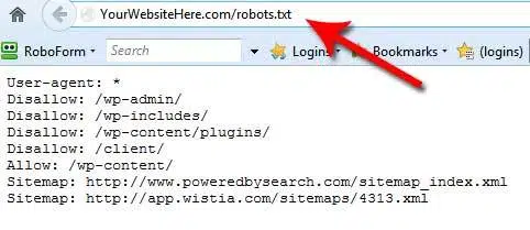 guida SEO robots txt file