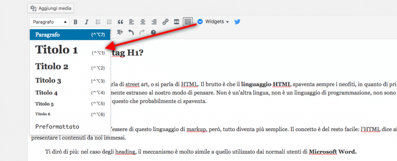 come scrivere un tag h1 su wordpress