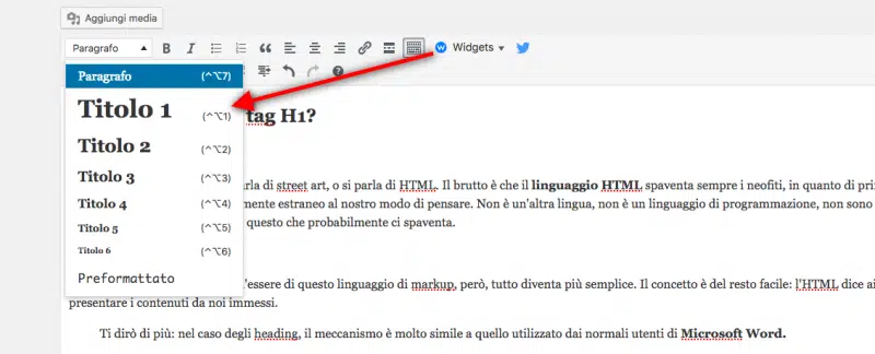 come scrivere un tag h1 su wordpress