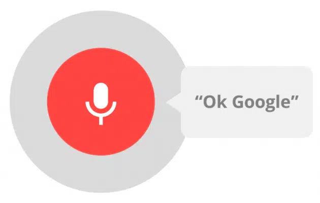 ok google assistant nella SEO