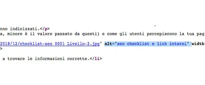 seo checklist: ottimizzazione del tag alt nelle immagini