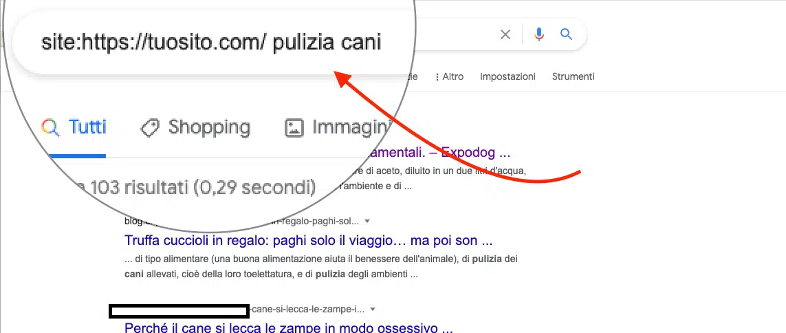 trovare articoli inutili per la seo su google