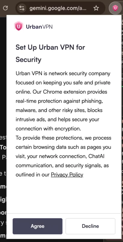 Fonte Koi 15 dicembre 2025